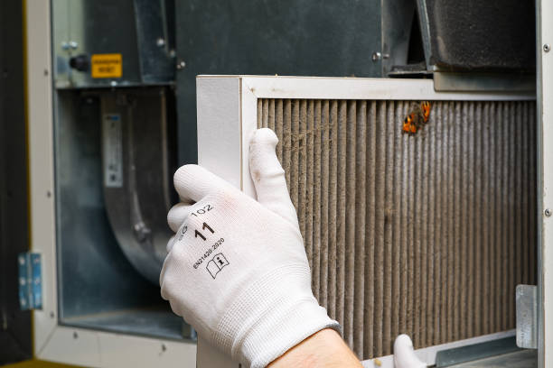 Best Air Duct Cleaning Near Me  in Rock Springs, NM